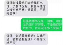 嘉鱼为什么选择专业追讨公司来处理您的债务纠纷？